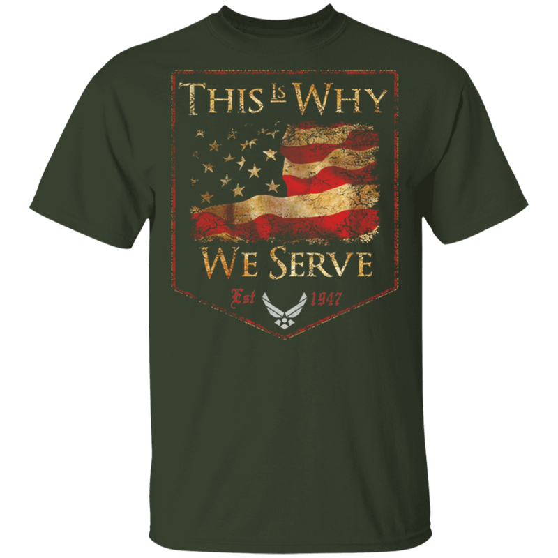 AIR FORCE THIS IS WHY WE SERVED SHIRT