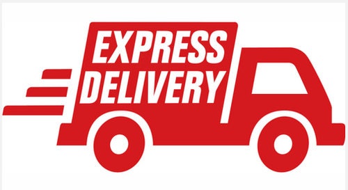 EXPRESS SHIPPING SERVICE
