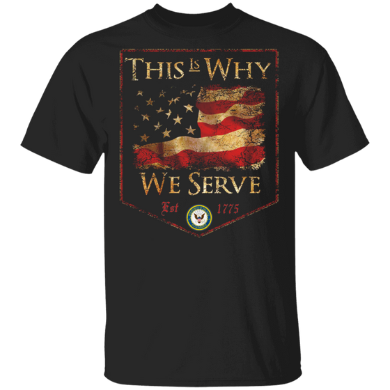 NAVY THIS IS WHY WE SERVED SHIRT