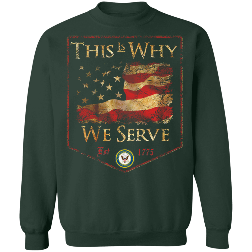 NAVY THIS IS WHY WE SERVED SHIRT