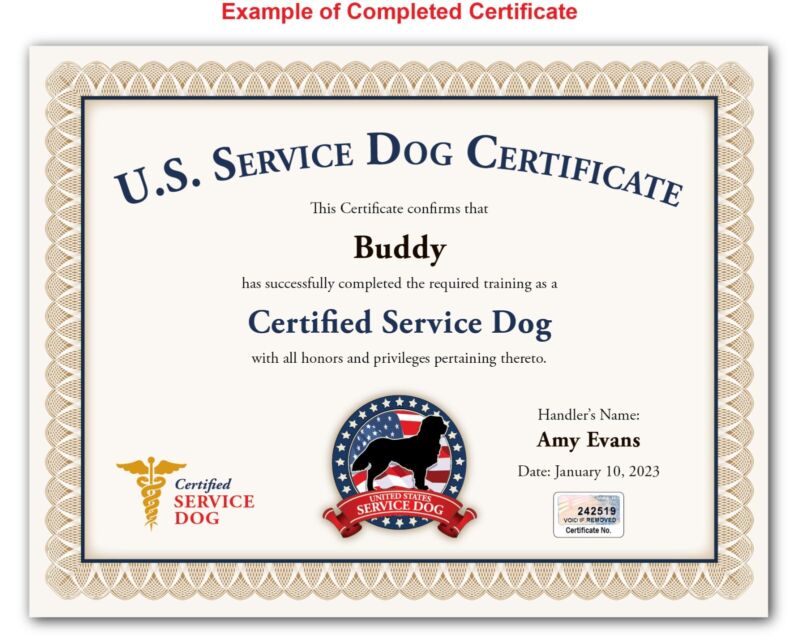 Service Dog Certificate Personalized USA EMOTIONAL SUPPORT THERAPY TRAINING ESA